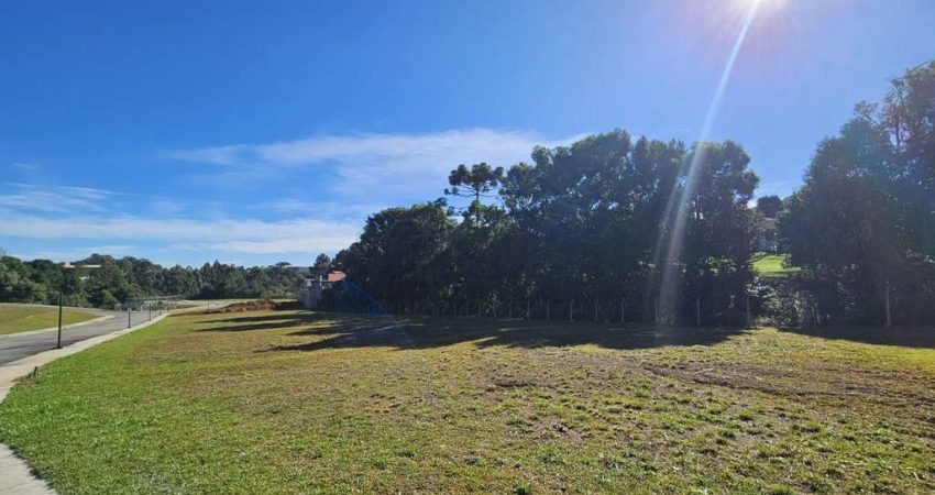 Terreno à venda na Rua Erna Schuhmacher, Brasilia, São Bento do Sul