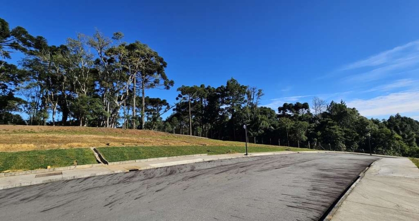 Terreno à venda na Rua Erna Schuhmacher, Brasilia, São Bento do Sul