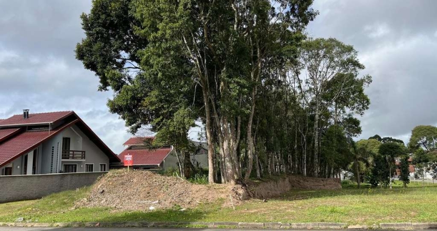 Terreno à venda na Rua Lino Zschoerper, Progresso, São Bento do Sul