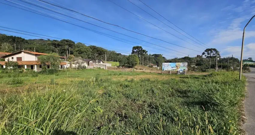 Terreno à venda na Rodovia Deputado Genésio Tureck - Acesso Oeste, Brasilia, São Bento do Sul