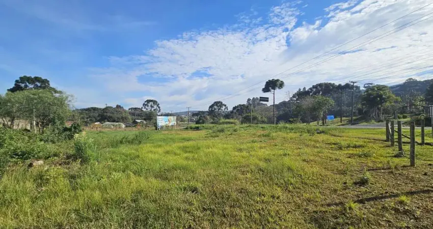 Terreno para Venda em São Bento do Sul, Brasilia