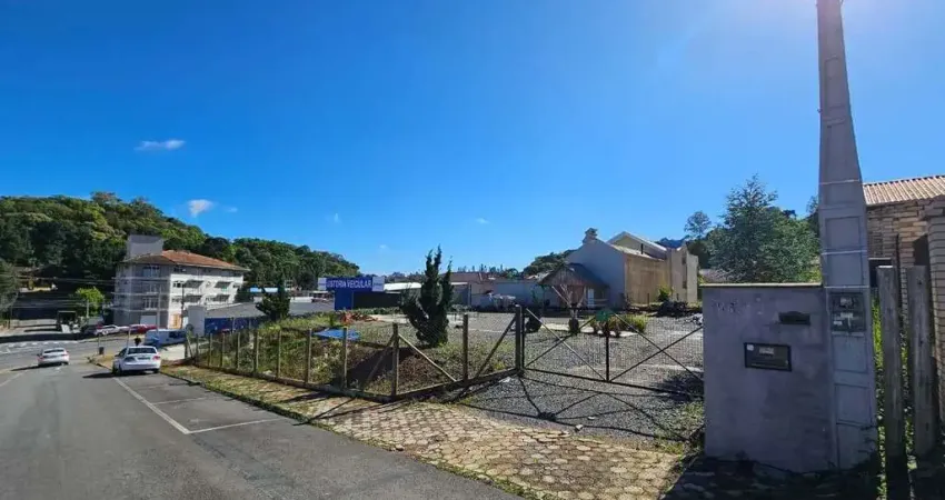 Terreno comercial para alugar na Rua Alexandre Buhnemann, sn, Schramm, São Bento do Sul