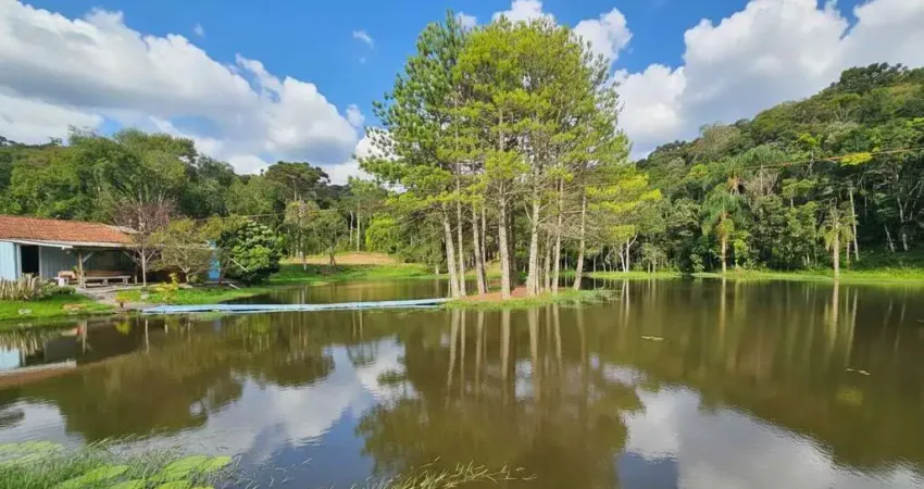 Chácara para Venda em São Bento do Sul, Rio Vermelho Estação, 2 dormitórios, 2 banheiros