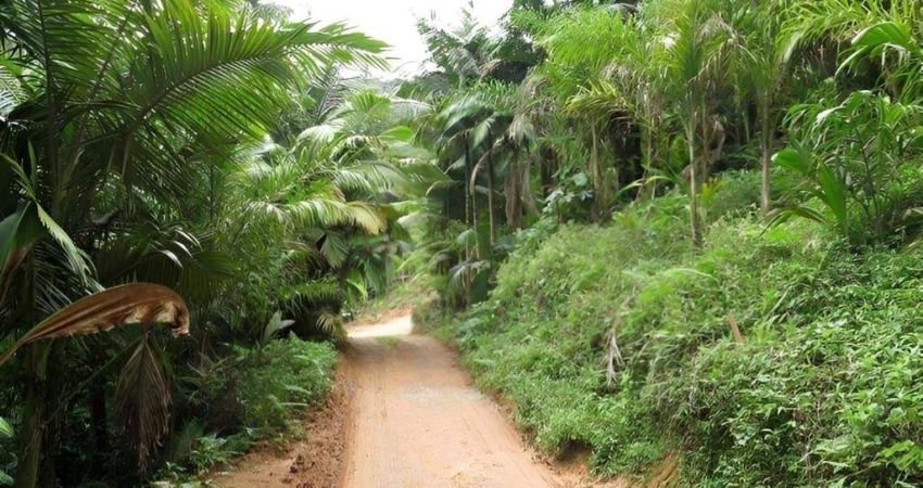 Terreno à venda na Estrada Quiriri, Pirabeiraba, Joinville