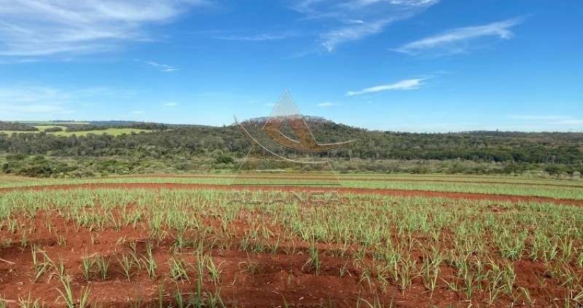 Fazenda à venda na Zona Rural, Ibaté 