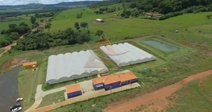 Fazenda à venda no Centro, São Simão 