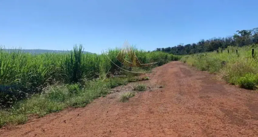 Fazenda  - Patrocínio Paulista - Patrocínio Paulista