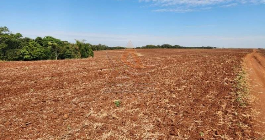 Fazenda à venda na Área Rural de Araraquara, Araraquara 