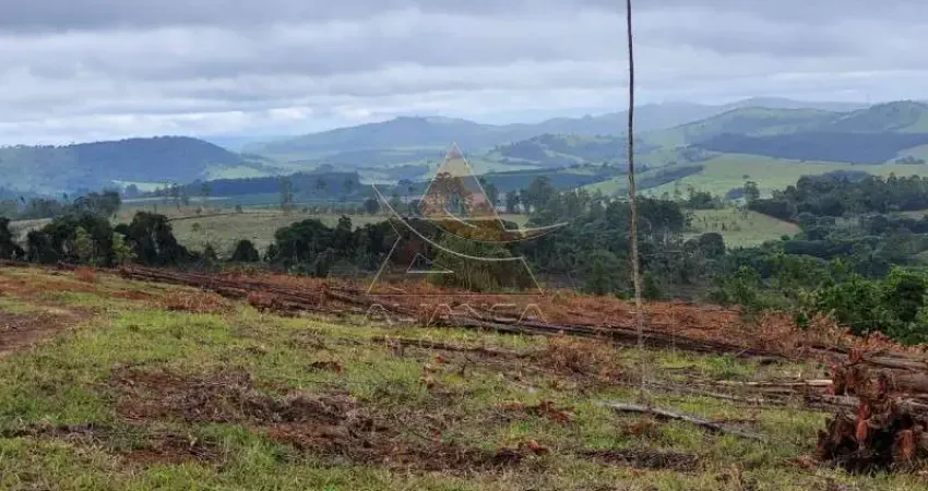 Fazenda à venda na Zona Rural, Santo Antônio do Amparo 