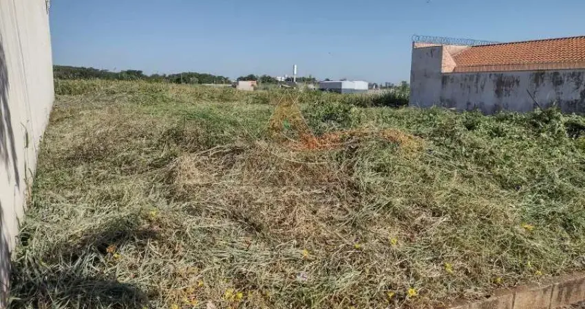 Terreno - Ribeirão Preto - Bonfim Paulista