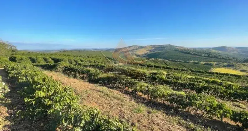 Fazenda à venda na Zona Rural, São Lourenço 