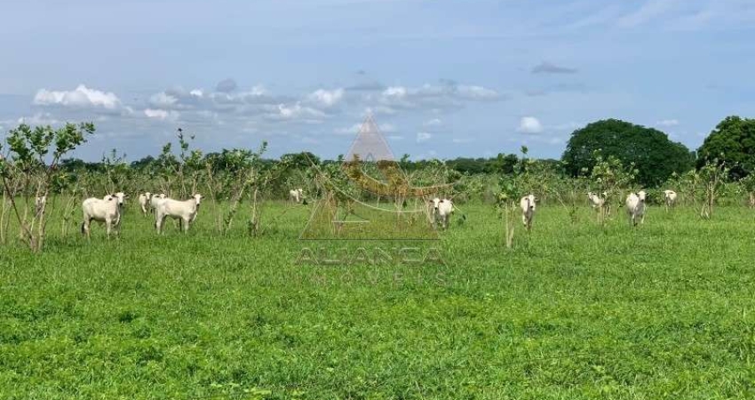 Fazenda  - Jaíba  - Zona Rural