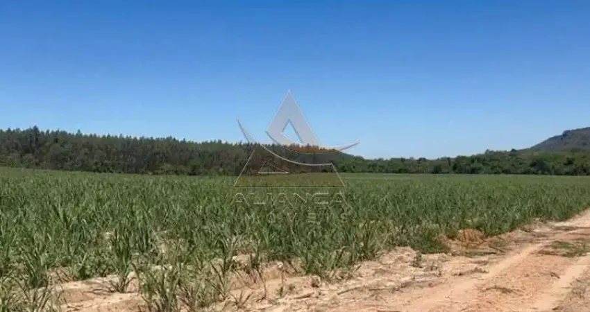 Fazenda à venda na Zona Rural, Tambaú