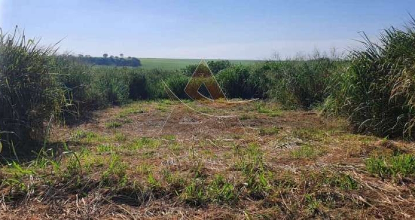 Terreno à venda na Reserva Macaúba, Ribeirão Preto 