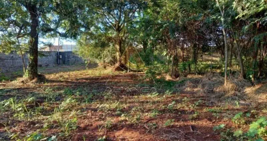 Terreno comercial para alugar no Ribeirânia, Ribeirão Preto 