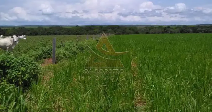 Fazenda à venda no Setor Central, Guaraí 