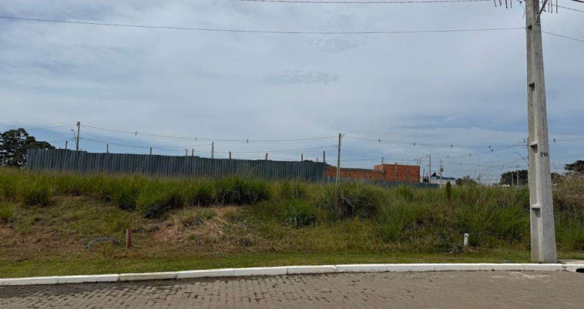 Terreno / Lote / Condomínio à venda no Bairro Vila Augusta com 180 m² de área privativa