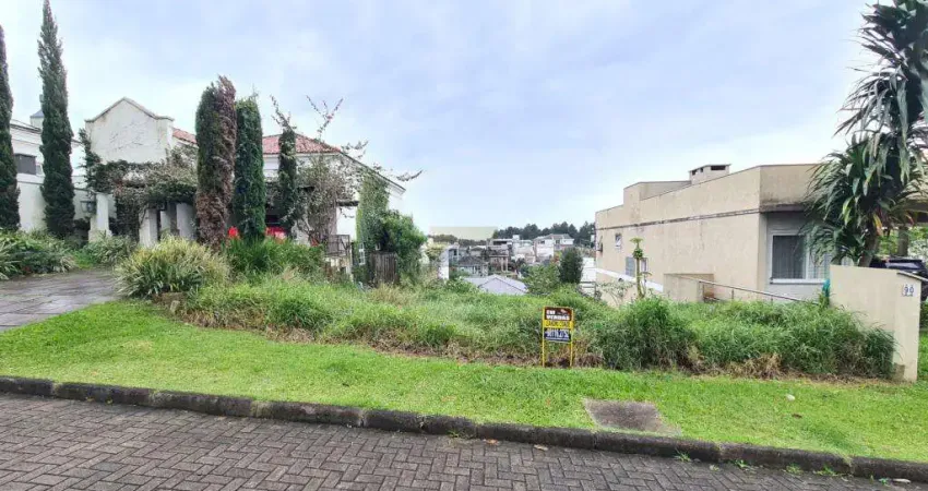 Terreno / Lote / Condomínio à venda no Bairro Condomínio Buena Vista com 330 m² de área privativa