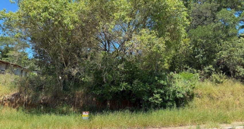 Terreno à venda no Bairro Tarumã com 547 m² de área privativa