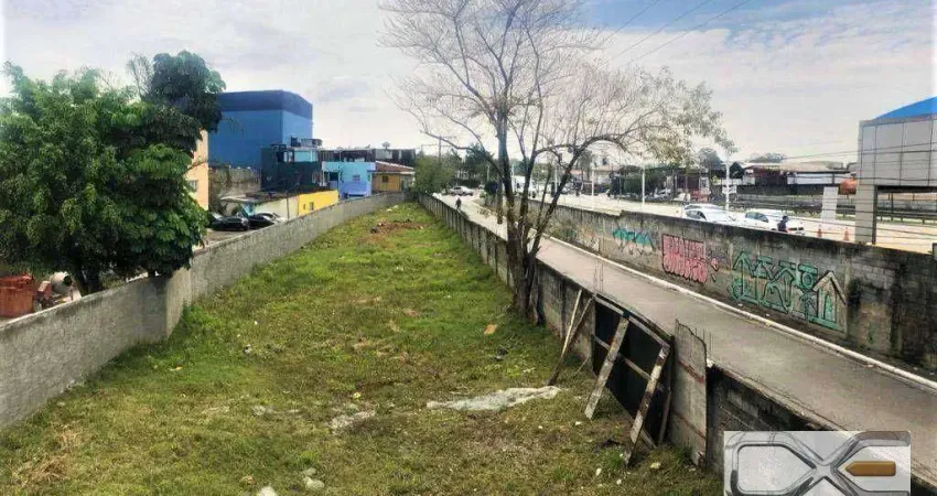 Terreno para alugar, 1500 m² por r$ 4.500,00/mês - parque novo mundo - são paulo/sp