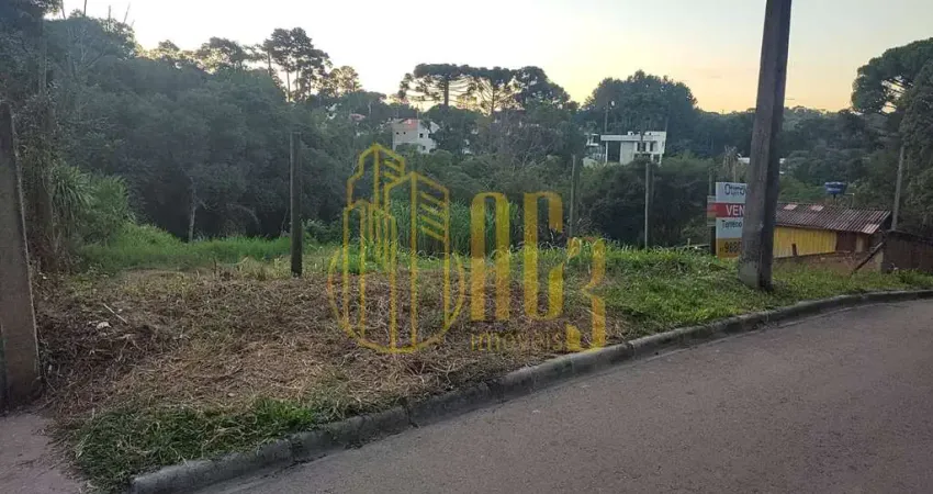 Terreno à venda na Rua Ângelo Domingos Durigan, 2031, Cascatinha, Curitiba