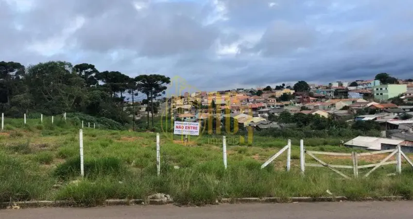 Terreno à venda na Rua Rio Madeira, Iguaçu, Fazenda Rio Grande