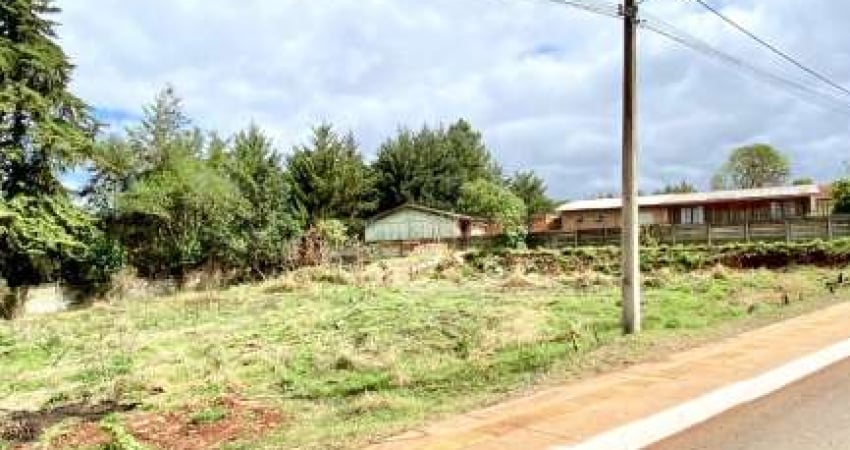 Terreno à venda no Cará-cará, Ponta Grossa 