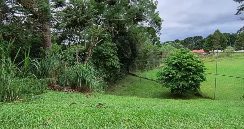 Chácara / sítio à venda em Ganchinho, Mandirituba 