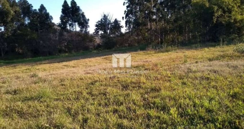 Terreno à venda no Santa Luzia, Porto Belo 