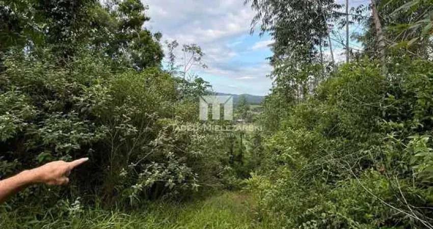 Terreno à venda no Moura, Canelinha 