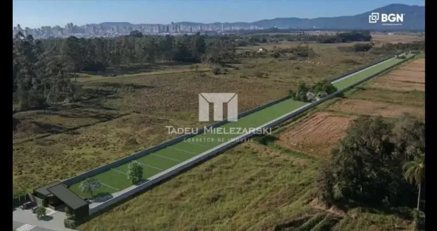 Viva em meio ao verde da mata Atlântica!