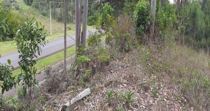 Terreno comercial à venda na BR 386 - KM. 393, Centro, Tabaí