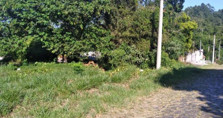 Terreno à venda na Rua Carlos Corrêa da Silva, Santo Antônio, Montenegro