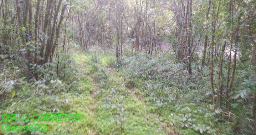 Chácara / sítio à venda na Estrada São Pedro do Maratá, s/n, Esperança, Maratá
