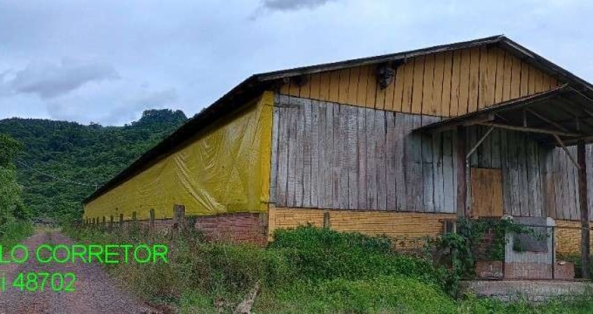 Chácara / sítio à venda na Rodovia Transitrus, 1001, Linha Pinheiro Machado, Brochier