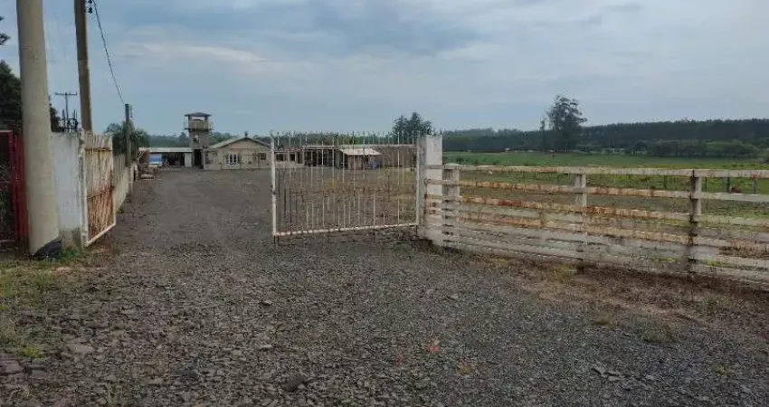 Chácara / sítio com 5 quartos à venda na Estr. Rincão do Pinheiro, s/n, Pólo Petroquímico, Triunfo