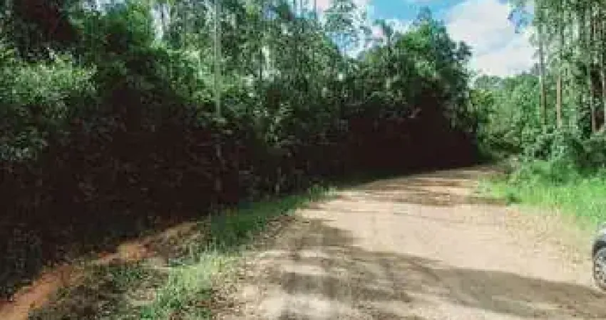 Chácara / sítio à venda na Estr. Geral Costa da Serra/Linha Catarina, s/n, Costa da Serra, Montenegro