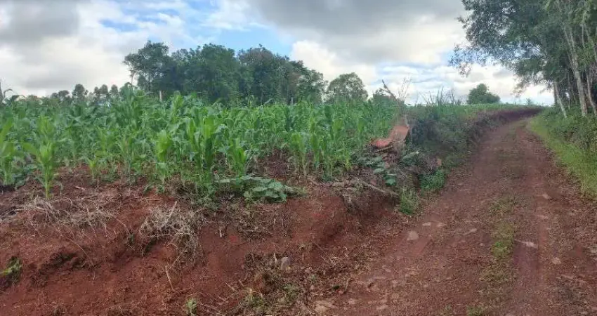 Chácara / sítio com 3 quartos à venda na Estr. Salão Cruzeiro, 2600, Alfama, Montenegro