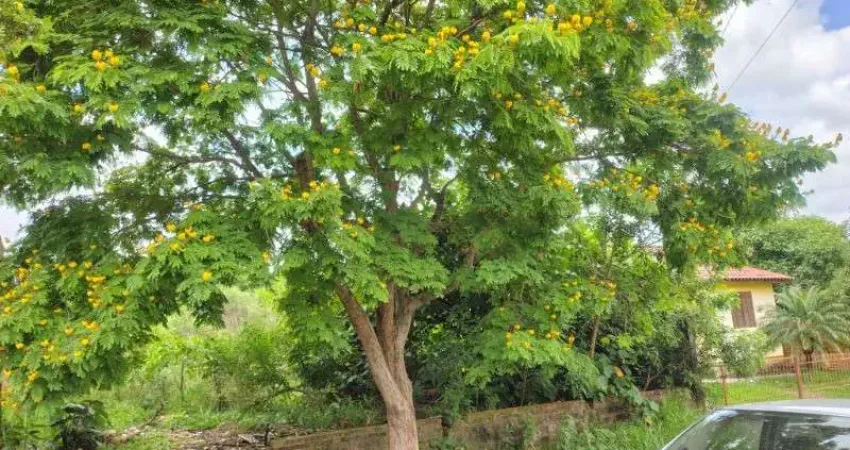 Terreno à venda na Rua dos Jasmins, 31, Estação, Montenegro