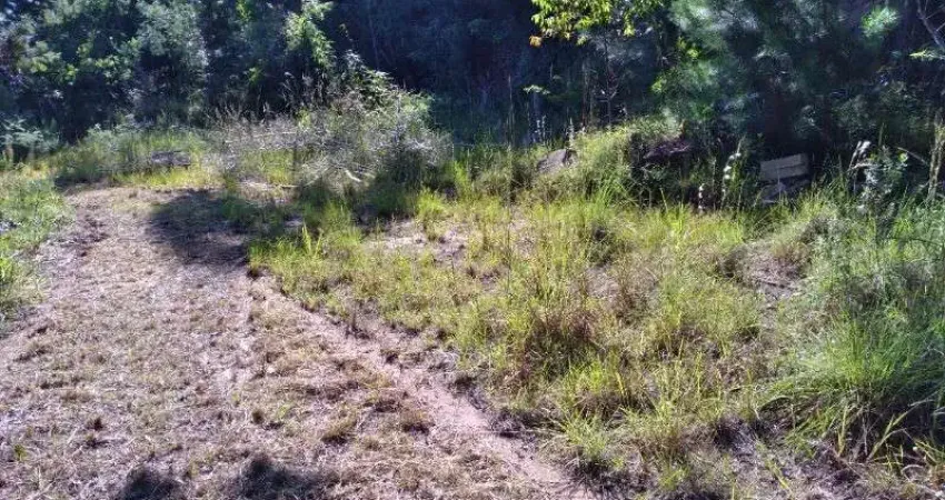 Chácara / sítio à venda na ERS287, S/N, Passo Da Serra, Montenegro