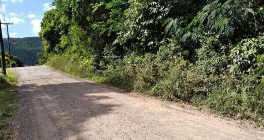Chácara / sítio à venda na Estrada Geral Costa da Serra/Pinheiros, Costa da Serra, Montenegro