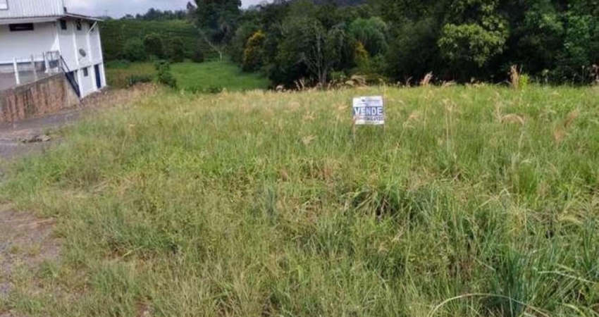 Terreno comercial à venda na ERS 124 - KM 7, Centro, Pareci Novo
