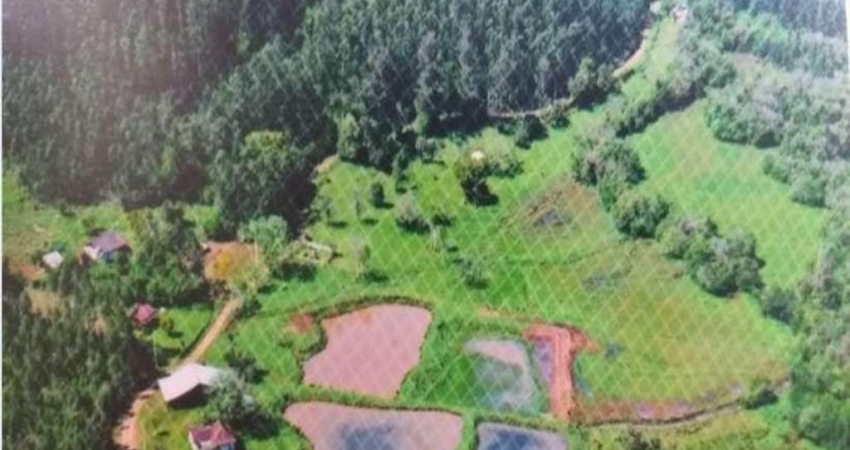 Chácara / sítio à venda na Estrada Geral Serra Velha, 2500, Centro, Montenegro