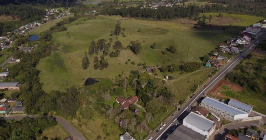 Área de Terras de 19,09 ha no Centro ode Capela de Santana – 712