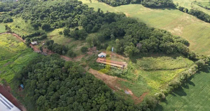 Chácara / sítio à venda na Rodovia PR-180, São Salvador, Cascavel