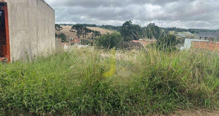 TERRENO NO FLORAIS