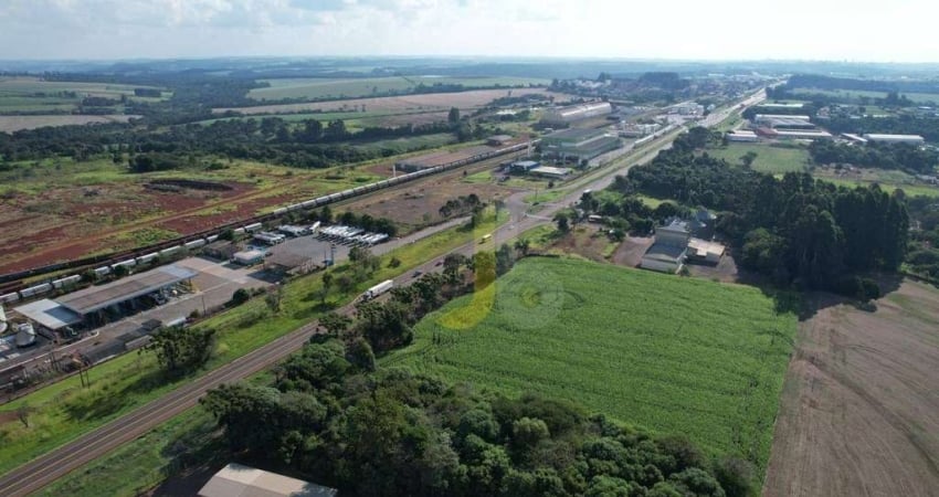 Terreno à venda na Rodovia Br 277 Do 572.0 Ao 585.5km, 573, Cascavel Velho, Cascavel