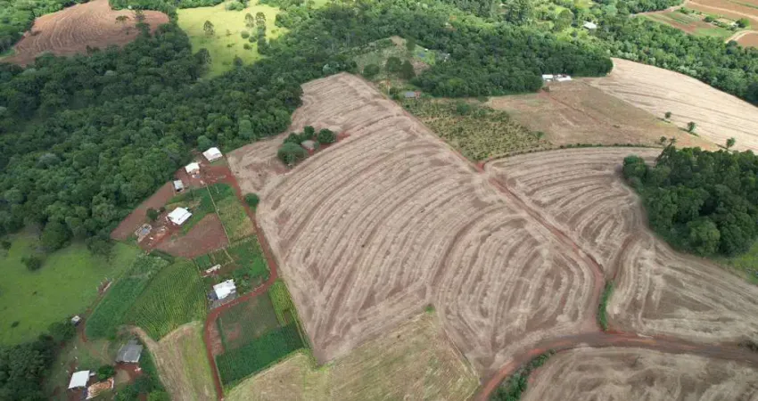 Chácara à venda, 54450 m²- rio do salto - cascavel/pr com rio da divisa da propriedade