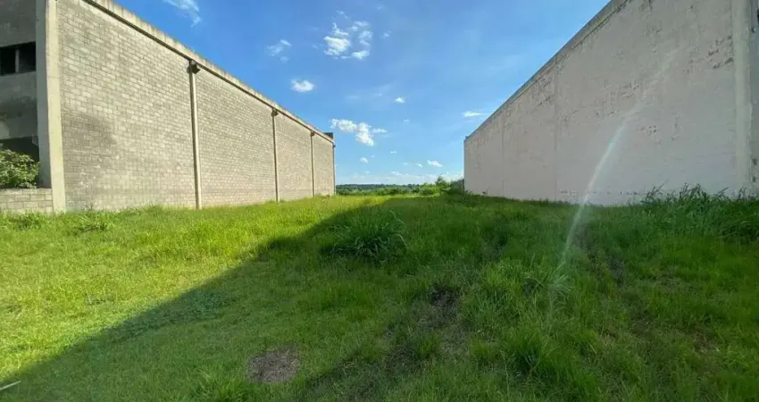 Terreno, 1250 m² - venda por r$ 735.000,00 ou aluguel por r$ 2.750,00/mês - jardim industrial dante siani - nova odessa/sp