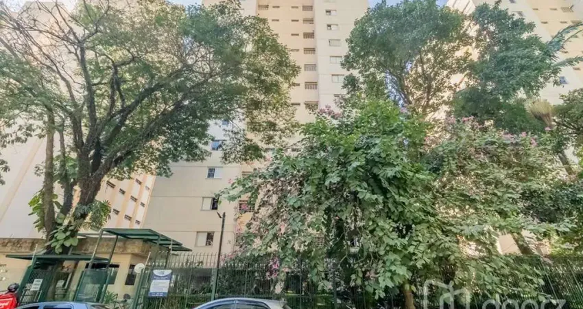 Apartamento com 3 quartos à venda na Rua Senador Milton Campos, 266, Santo Amaro, São Paulo